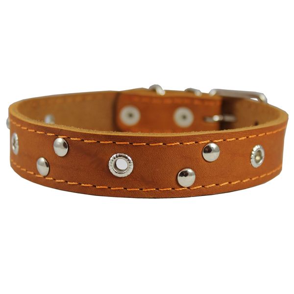 Genuine Leather Studded Dog Collar, Tan, 1" Wide. Fits 13"-17.5" Neck Size