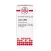 DHU Ledum LM XII Dilution, 10 ml Lösung