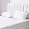 Waterproof Pillow Protector 2 Pack Queen Size Noiseless & Breathable & Soft & Machine Washable Full Encasement Pillow Protector