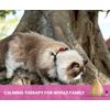Holistic Natural Derived Calming Pet Essential Oil Blend for Anxiety & Diffuser