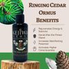 Kejiwa RINGING CEDAR Ormus: Mono-atomic Gold Ormus Manna Infused With Siberian Pine