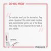Clearance Cuticle Care 10ML