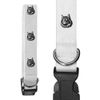 Large 'Maine Coon Cat' Dog Collar (PR00050126)