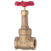 Kitz Gate Valve 5K 3/4 M20A