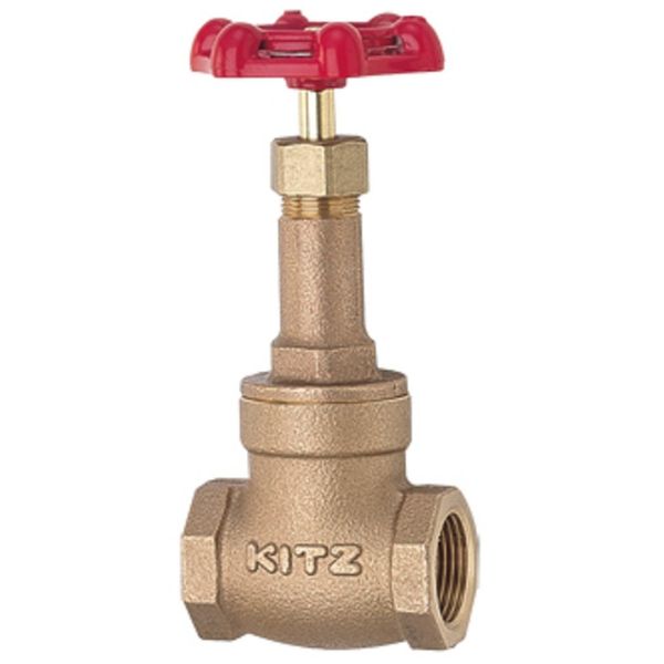 Kitz Gate Valve 5K 3/4 M20A