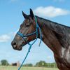 Cashel Flat Braid Halter and Leadrope, Blue
