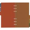 Bible Color Index 0370-100