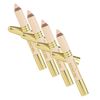 Boyd's Renoir Concealer Pencil - The Miracle Concealer - 4 Pack