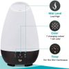 HealthSmart Aromatherapy Essential Oil Diffuser and Cool Mist Humidifier (500mL)
