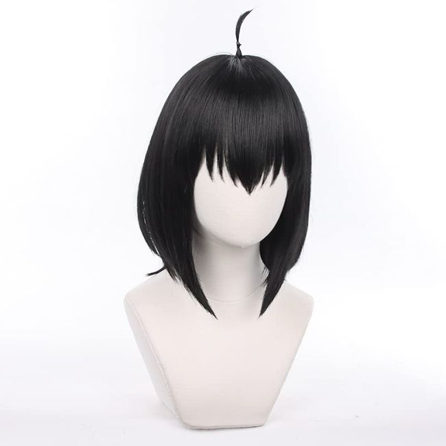 SPY x FAMILY Cosplay Wig, Heat Resistant Wig, Net Included, Costume Accessory, Net Included, For Photography, Fancy Dress, School Festivals, Events, Halloween, Stage, Present, Festival (Yuri Brier)