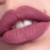 Catrice Plumping Lip Liner 060 Cheers To Life