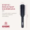 Kent AS9 Anti-Static Range Hair Brush