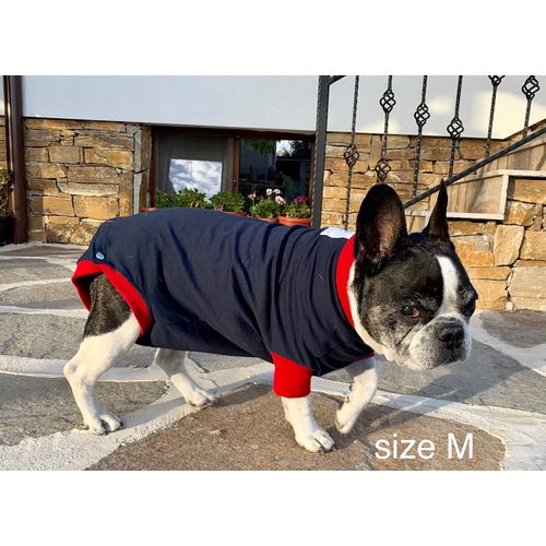 Dog Surgical Body / Wound Protection Suit for Dogs / Medical Pet Shirt / Recovery Suit (M, Blue)