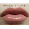 Bella Lipsense + Glossy Gloss Bundle