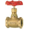 Kitz Globe Valve Type 100 1/4 A8A