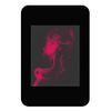 HMI PANEL, LCD TFT, 176X220P, 460CD/M2, Touch Screen Human Machine Interface/Operator Interface (PIXXILCD-20P2-CTP-CLB) Pack of 1