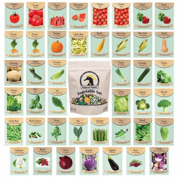 Set of 43 Assorted Vegetable & Herb Seed Packets - Over 10,000 Seeds! - Includes Mylar Storage Bag - Deluxe Garden Heirloom Seeds - 100% Non-GMO