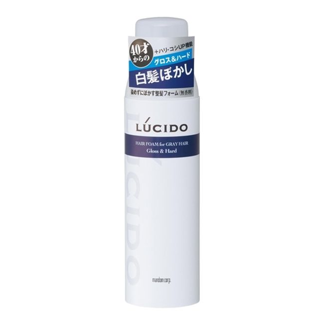 Lucid hair styling foam for gray hair gloss &amp; hard [185g] (Mandom) [MEN&#39;S]