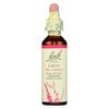 Bach Flower Larch
