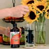 Liquid Chlorophyll 16oz – Super Concentrated Energy & Internal Deodorizer – Mint