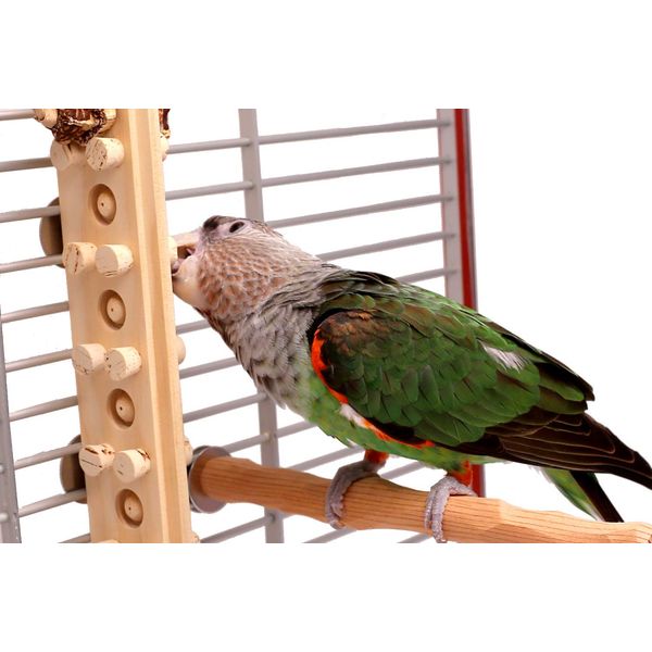 Woodberry - Medium Bolt-On Parrot Toy