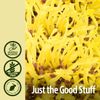 Nature's Answer Witch Hazel Leaf Liquid Extract 1 Fluid Ounce 500mg | Hemorrhoidal Relief | Inflammation Reduction