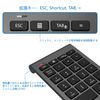 Alcey Bluetooth Numeric Keyboard, Wireless Numeric Keypad, 22 Keys, Bluetooth Numeric Keyboard, Small, Portable, Compact, Multi-functional Number Pad, Compatible with PC/Laptop/Notebook, etc. (Space
