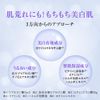 Hadalabo Hakujun Medicated Whitening Lotion, Main Unit + Refill Set + Gokujun Sachet Included