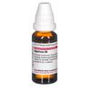 DHU Agaricus D6 Dilution, 20 ml Lösung