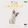 いぬのやすらぎ~愛の周波数528Hz