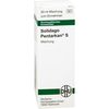 Solidago Pentarkan S Mischung, 50 ml Lösung