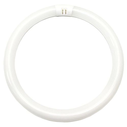 Sylvania 20030 - FC12T9/D/RS Circular T9 Fluorescent Tube Light Bulb