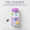 SOLARAY St. Johns Wort Aerial Extract One Daily 900mg, Standardized w/ 0.3% Hypericin for Mood Stability & Brain Health Support, Non-GMO |60 Servings | 60 Tablets