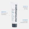 Dermalogica Skin Smoothing Cream (3.4 Fl Oz) Face Moisturizer with Vitamin C and Vitamin E - Infuses Skin with 48 Hours of Continuous Hydration