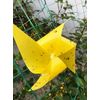 Faicuk 20-Pack Dual-Sided Yellow Sticky Traps for Flying Plant Insect Like Fungus Gnats, Aphids, Whiteflies, Leafminers - (6x8 Inches, Twist Ties Included)