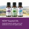 Essential Oil, Lavender Oil 100% Pure - 10 ml.