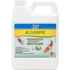 API POND ALGAEFIX Algae Control 32-Ounce Bottle, FISHAQUARI (169G)