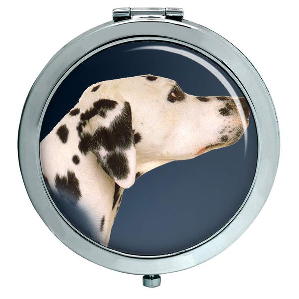Dalmatian Dog Compact Mirror