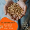 Organic Cat Grass Kit 4 Pack | Non GMO Mixed Heirloom Seeds | Wheatgrass