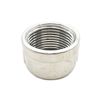 Thrifco 9018081 1/4 Stainless Steel Cap