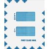 Double Window 1st Class Envelope 9 1/2 x 11 1/2 - 100 Envelopes