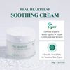 DERMALOGY by NEOGENLAB Real Heartleaf Soothing Cream 80g