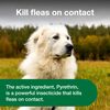 Advantage Flea and Tick Treatment Spray for Dogs, 8 fl.oz