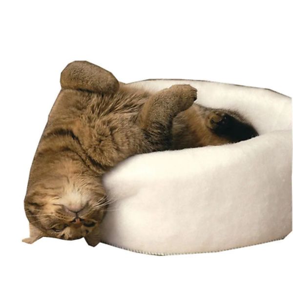 Mysterious Kitty Kup Medium White Bed, Ultra Soft, Cat Bed, Pet, Warm, Plush,New