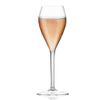 AIOS Unbreakable BPA Free Tritan Prosecco Glasses. Capacity 165ml