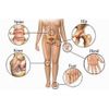 joint pain relief - JOINT MATRIX - msm ultra 1 Bottle