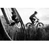 Clarks Shimano VX811C Organic Disc Brake Pad