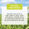 Klorane Oat Milk Shampoo Frequent Use 400 ml