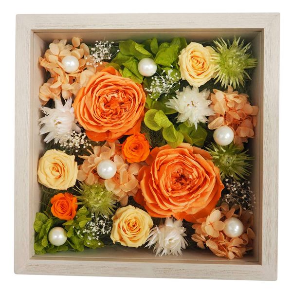 Huladeco Preserved Flowers [Fool] (Orange)