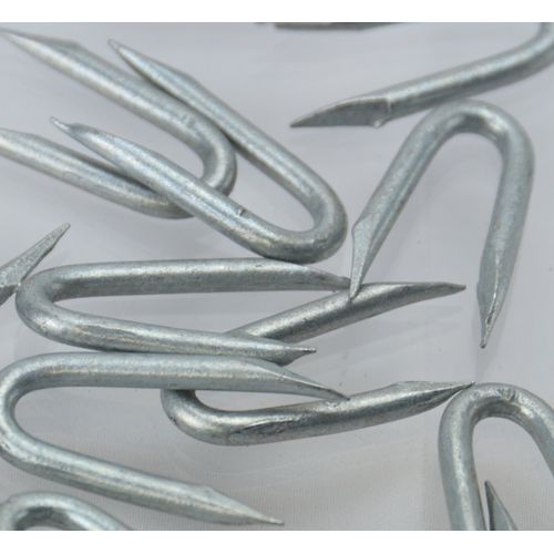 Galvanised Staples (CHOOSE YOUR NAIL SIZE) (CHOOSE YOUR PACK SIZE) Fencing Netting U Staple Nails (500, 15mm)